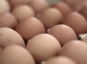 Allergies à l’oeuf – Les produits à éviter