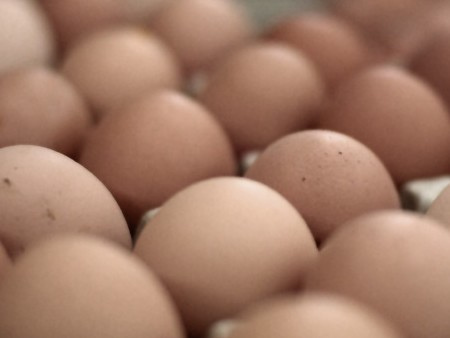 oeufs