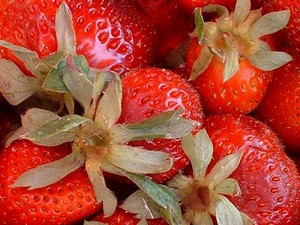 Bavarois aux fraises sans oeufs sans lait sans gluten