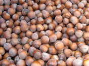 Sablés à la noisette, sans oeufs