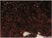 Gâteau fudge à la poudre de cacao, sans oeufs