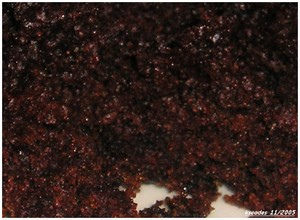 Gâteau fudge à la poudre de cacao, sans oeufs