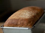 Cake au yaourt sans oeufs Cake au yaourt sans oeufs