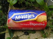 94058248_8ce595d0e91 Digestive biscuits sans oeufs possible sans lait