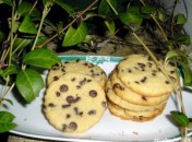 Sablés chocolat noisettes sans oeufs