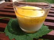 Pana cotta (Panacotta) à la cannelle sans oeufs sans gluten