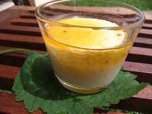 Pana cotta (Panacotta) à la cannelle sans œufs sans gluten
