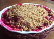 231744756_dfd16e108c Crumble aux speculoos et aux fruits rouges sans oeufs