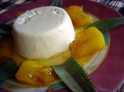 Panacotta (Pana Cotta) coco sans oeufs sans gluten