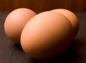 Efficacité de l&rsquo;immunothérapie dans l&rsquo;allergie à l&rsquo;oeuf