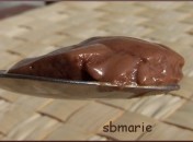 Crème au chocolat au tofu soyeux, sans oeufs, sans lait sans gluten