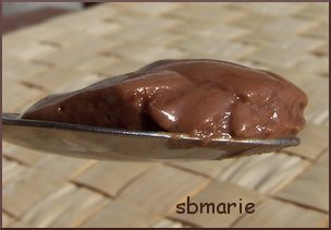 crème au chocolat au tofu soyeux sans oeufs sans lait sans gluten