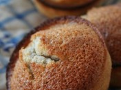 Financiers à l’abricot sans gluten