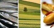 Allergies alimentaires : Tout ce qu’il faut savoir