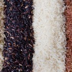 Riz - 4 couleurs