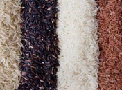 Riz - 4 couleurs Tout ce que vous vouliez savoir sur … le riz