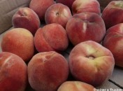 Pêches aux épices façon Jean Marie