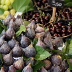 Figues
