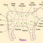 Veau - Découpes