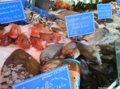 Comment choisir et préparer un poisson Conseils pour choisir et préparer le poisson