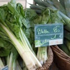 Blettes ©46137 - Paternité Pas d'utilisation commerciale - Partage selon les Conditions Initiales