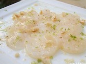 Carpaccio de saint jacques Index – Recettes de poissons