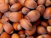 Abc … des ingrédients : N et O