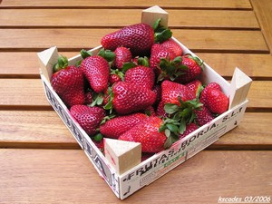 Premières fraises