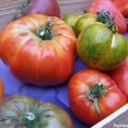 Tomates anciennes Tomates anciennes