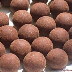 Xocopili Xocopili