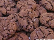cookies Index – Recettes petits gâteaux et gourmandises