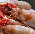 langouste Abc … des ingrédients : L et M