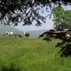 Paysage-de-vacances