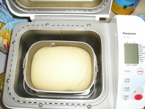 Pâton Après la levée Pâton Après la levée