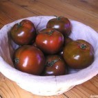 Tomates-Kumato
