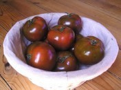 Tomates-Kumato Tomates Kumato, tomates de bobos