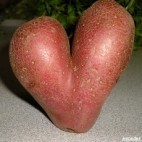 Epatante-patate