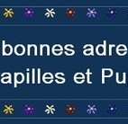 Les-bonnes-adresses-de-Papilles-et-Pupilles Les-bonnes-adresses-de-Papilles-et-Pupilles