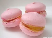 Macarons au lemon curd