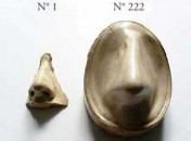 Le nez de Papilles