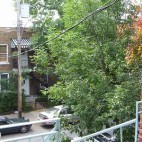 Vue de ma fenêtre : Québec – Canada Vue de ma fenêtre : Québec – Canada