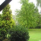 Vue de ma fenêtre – France : Auvergne, Bourgogne, Centre et Centre Ouest Vue de ma fenêtre – France : Auvergne, Bourgogne, Centre et Centre Ouest