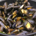 Moules marinières d'octobre