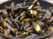 Moules marinières d’octobre