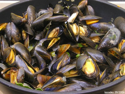 Moules marinières d'octobre