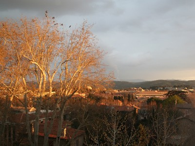 Vue de ma fenêtre