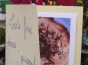 Carte postale gourmande Poste gourmande – Tarte fine poires, gingembre, chocolat – merci Bergeou