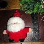 Sapin-1 Sapin-1