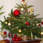 Sapin de Noel Sapin de Noel