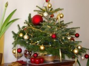Sapin de Noel KKVJ de Noel : Le Diaporama de vos sapins
